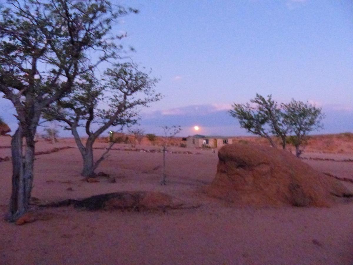 Ozohere Campsite And Himba Village Uis Dış mekan fotoğraf